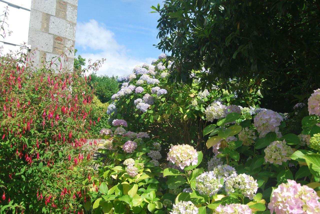 B&B Le Mesnil Saint-Senier-sous-Avranches 外观 照片